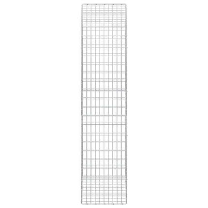 Gabion med 3,5 mm tråd og 5x10 cm mesh 100x50x200 cm