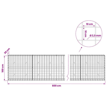 Gabion med 3,5 mm tråd og 10x10 cm net 600x30x100 cm
