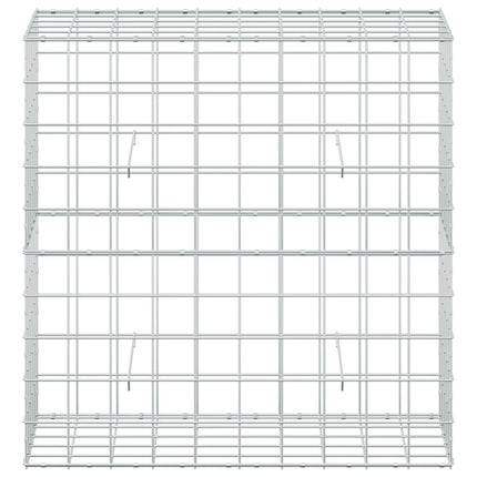 Gabion med 3,5 mm tråd og 10x10 cm net 100x50x100 cm