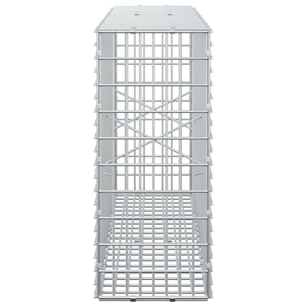 Gabion med 5 mm Tråd og 5x2,5 cm Maske 100x20x50 cm