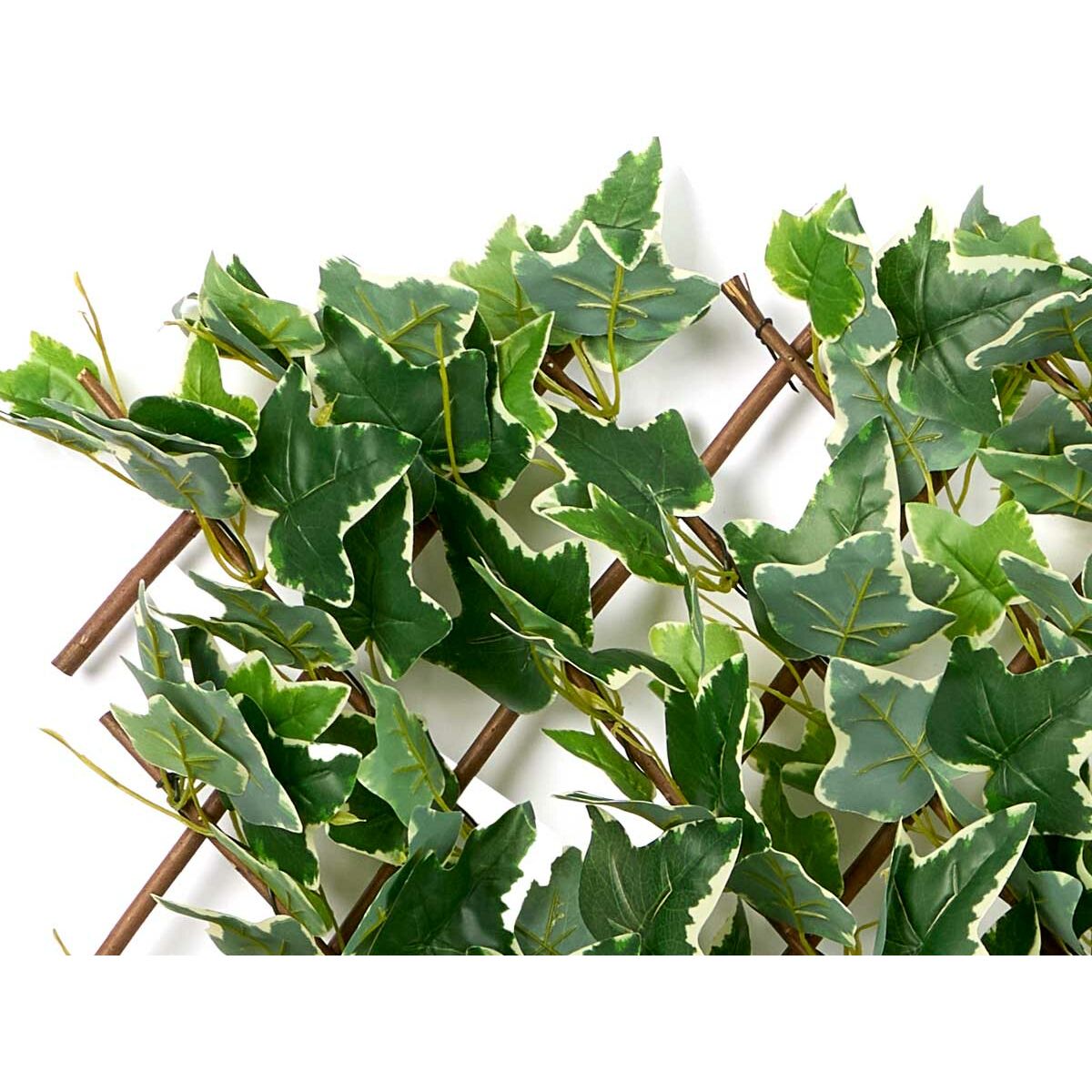 V9H345EF7F0FFEAFA951AE928B8DA320742R7127603P5