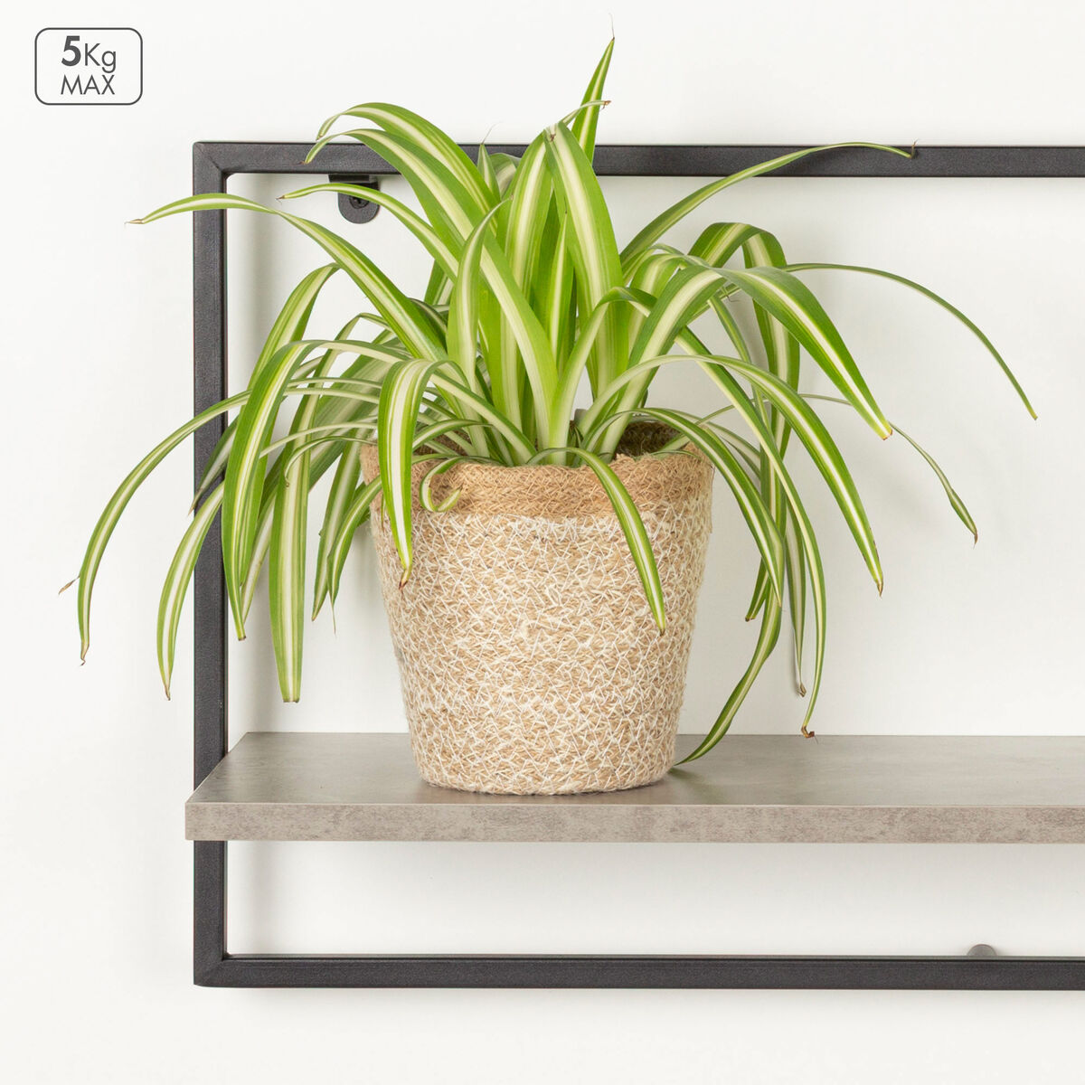 V4H8C317E28C18BC330968F2BF3222D38E4R7575131P4